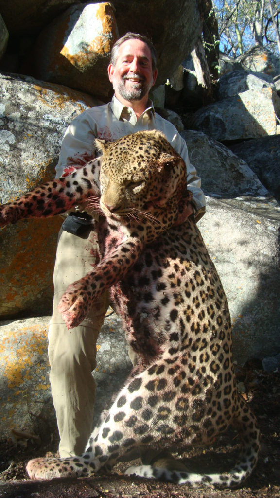 Leopardo cazado
