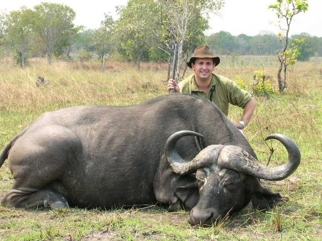 Búfalo cazado
