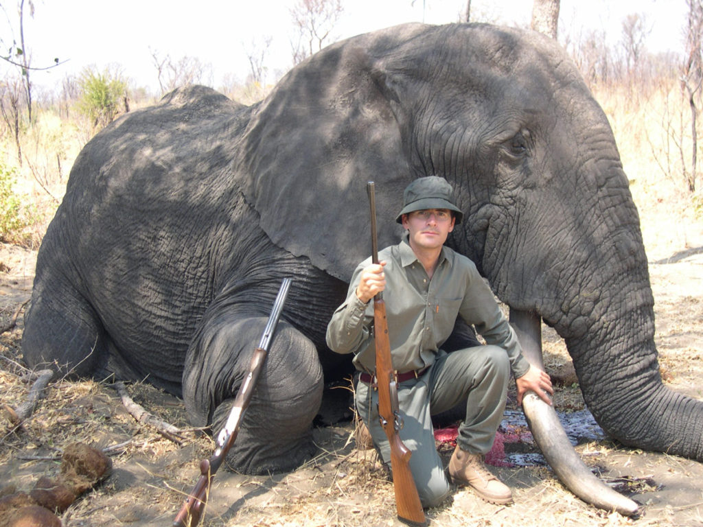 Elephant hunted