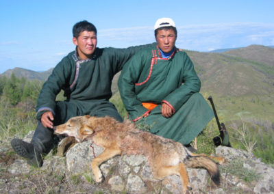 Asia, caza en España