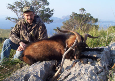 Boc, caza en España