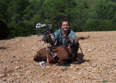Boc, caza en España