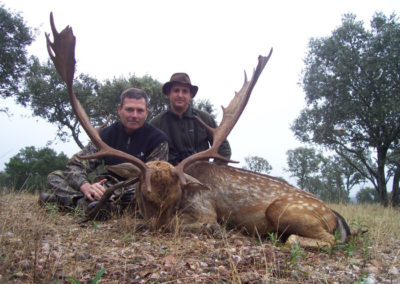 Gamos, caza en España
