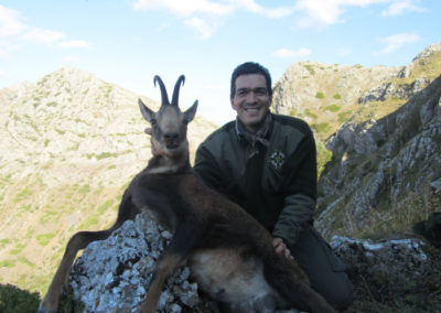 Rebecos, caza en España