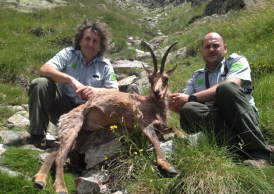 Rebecos, caza en España